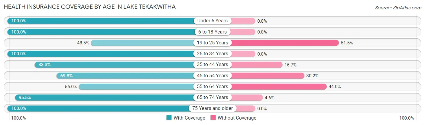 Health Insurance Coverage by Age in Lake Tekakwitha