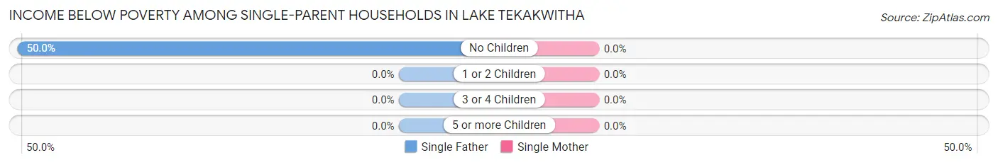Income Below Poverty Among Single-Parent Households in Lake Tekakwitha
