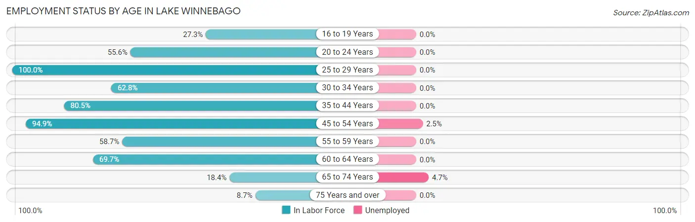 Employment Status by Age in Lake Winnebago