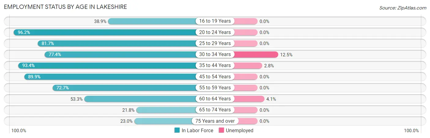 Employment Status by Age in Lakeshire