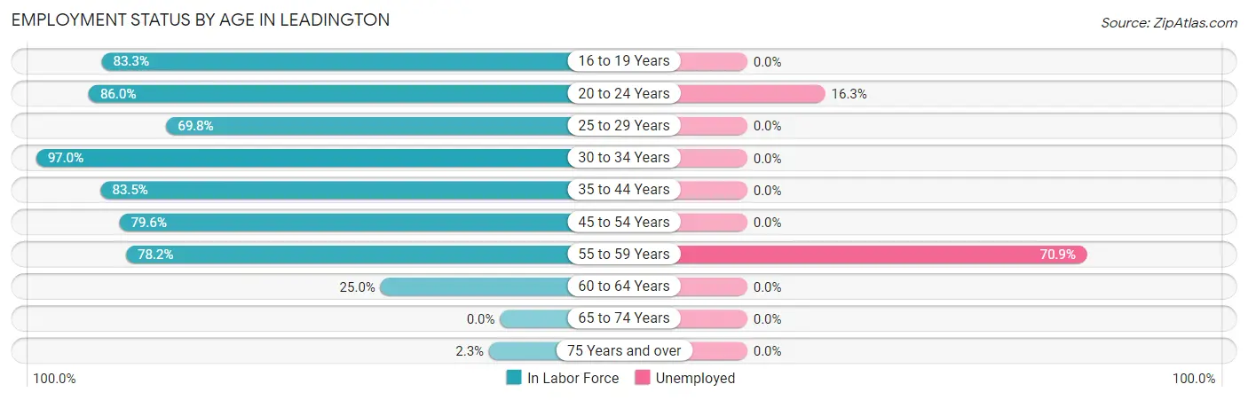 Employment Status by Age in Leadington
