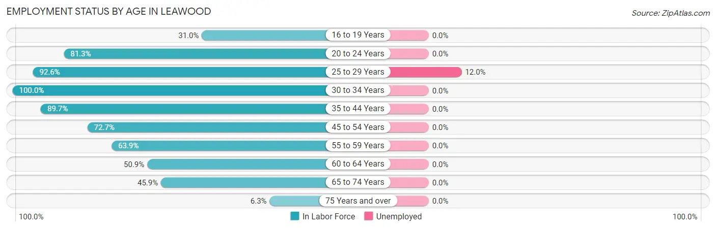 Employment Status by Age in Leawood