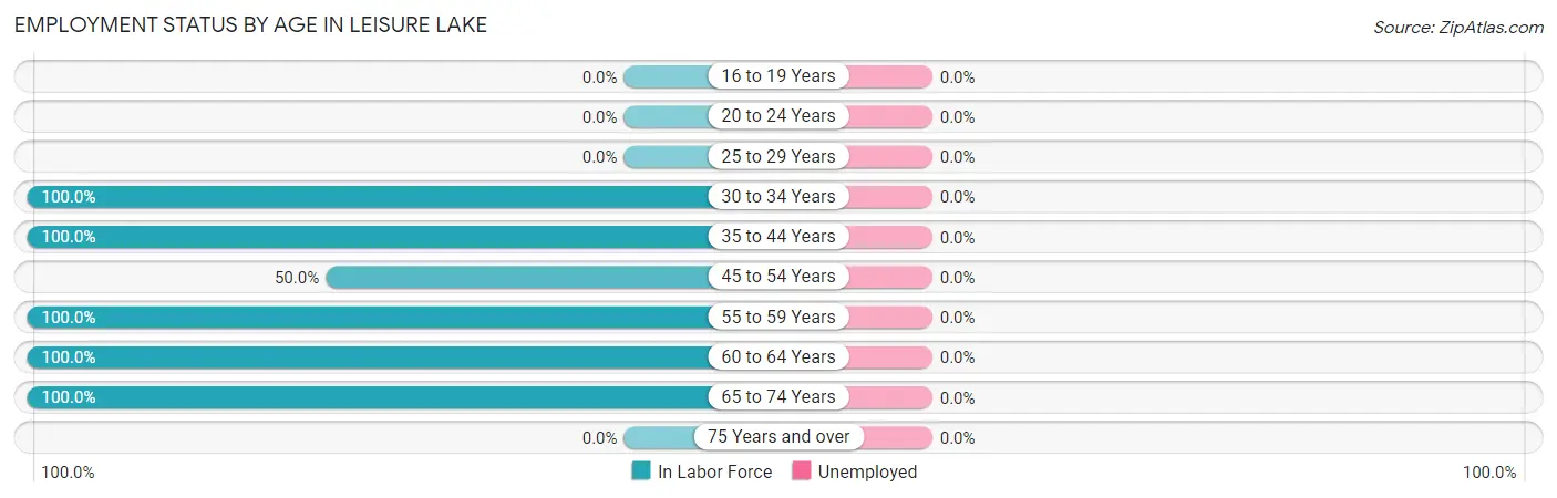 Employment Status by Age in Leisure Lake