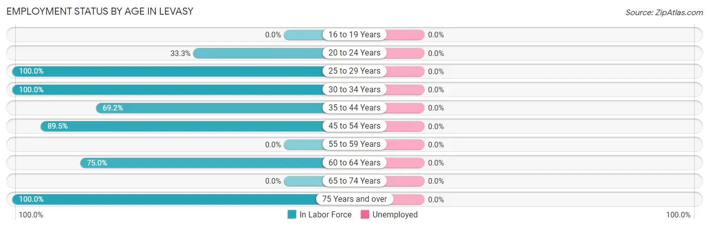 Employment Status by Age in Levasy