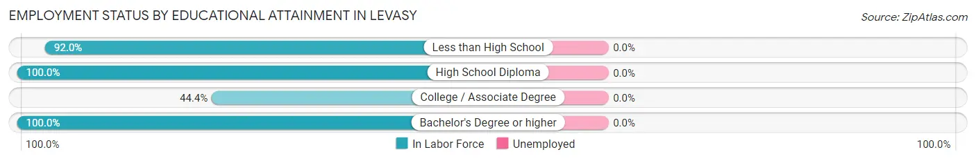 Employment Status by Educational Attainment in Levasy