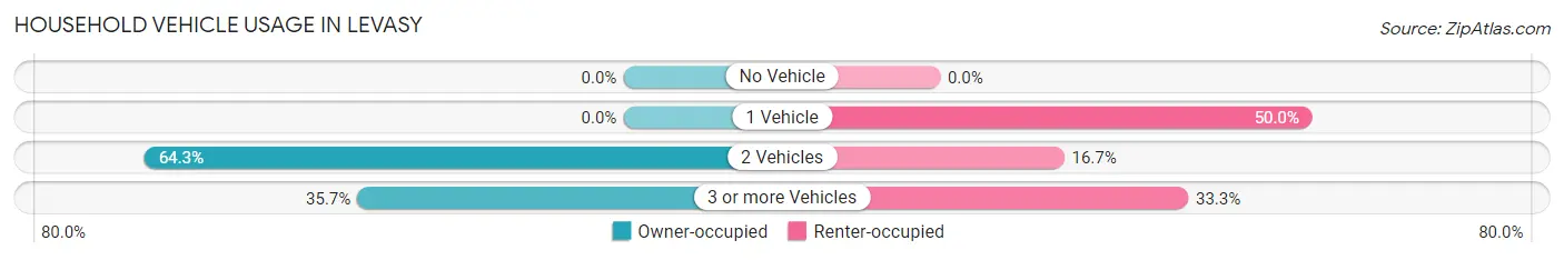 Household Vehicle Usage in Levasy