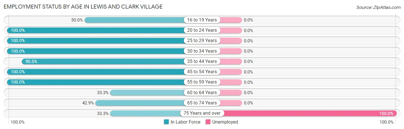 Employment Status by Age in Lewis and Clark Village