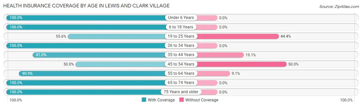Health Insurance Coverage by Age in Lewis and Clark Village