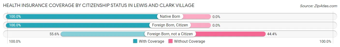 Health Insurance Coverage by Citizenship Status in Lewis and Clark Village