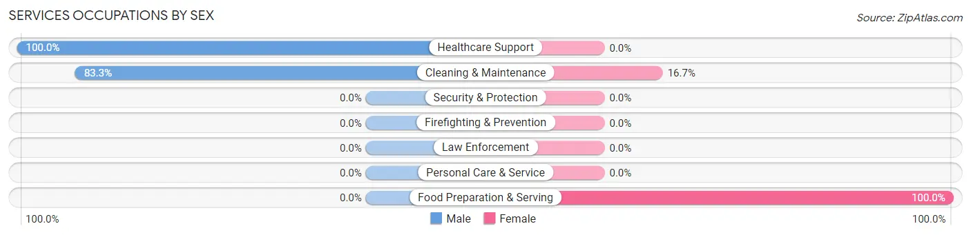 Services Occupations by Sex in Lewistown