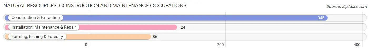 Natural Resources, Construction and Maintenance Occupations in Lexington