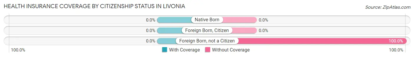 Health Insurance Coverage by Citizenship Status in Livonia