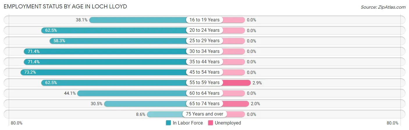 Employment Status by Age in Loch Lloyd