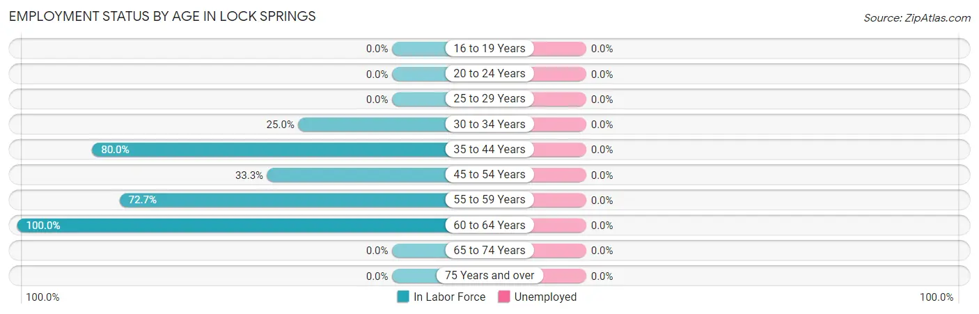 Employment Status by Age in Lock Springs