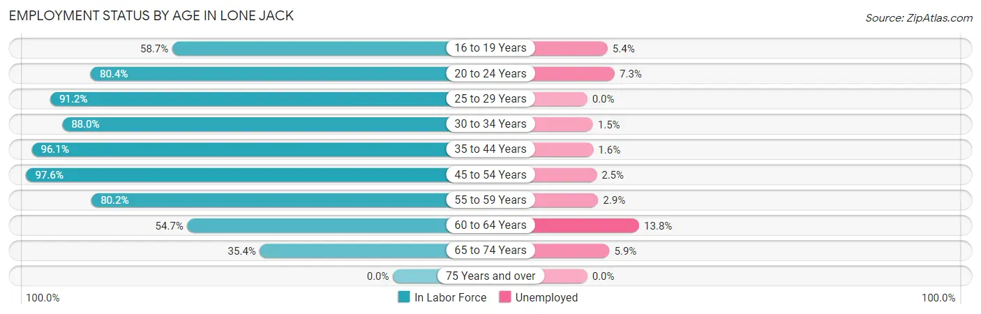 Employment Status by Age in Lone Jack