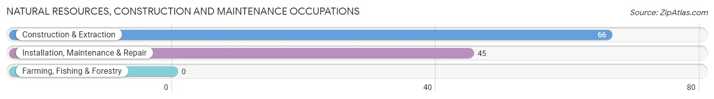 Natural Resources, Construction and Maintenance Occupations in Lone Jack