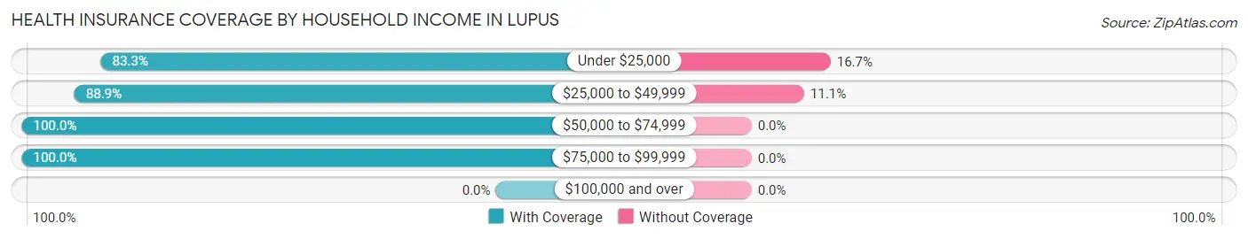 Health Insurance Coverage by Household Income in Lupus