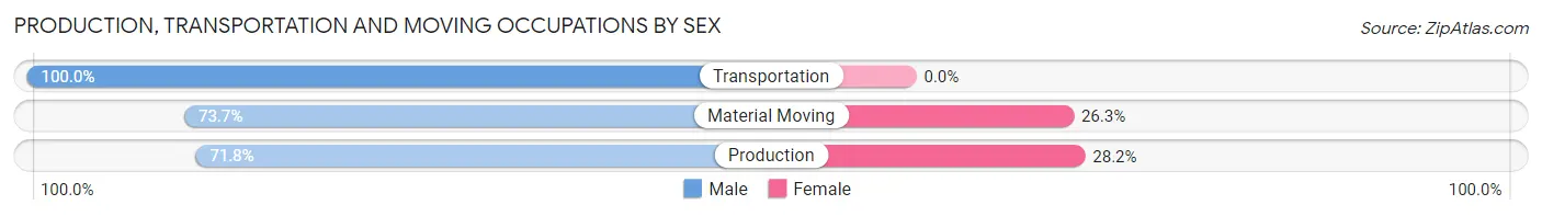 Production, Transportation and Moving Occupations by Sex in Manchester