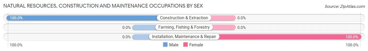 Natural Resources, Construction and Maintenance Occupations by Sex in Marlborough