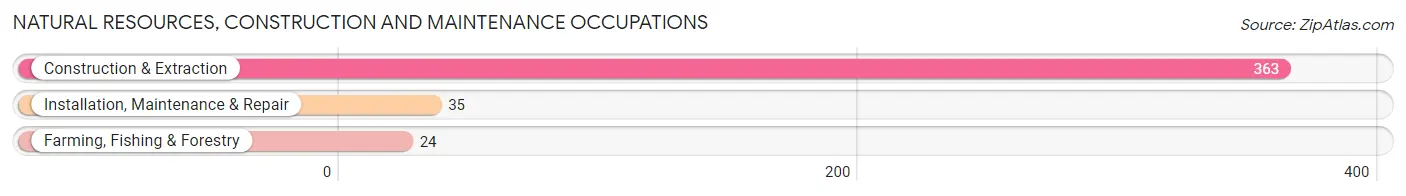 Natural Resources, Construction and Maintenance Occupations in Marthasville