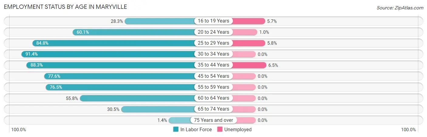 Employment Status by Age in Maryville