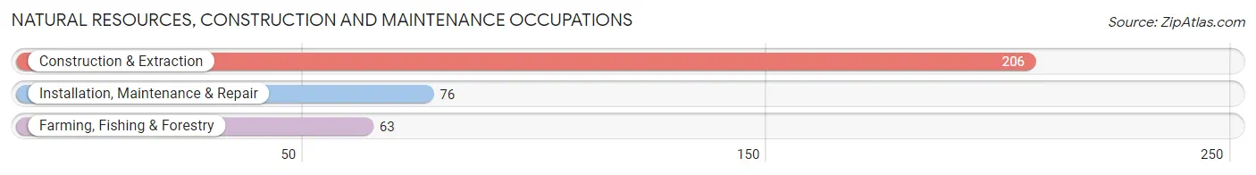 Natural Resources, Construction and Maintenance Occupations in Maryville