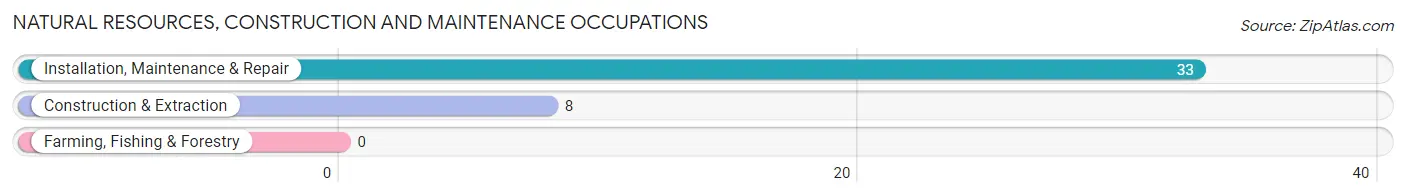 Natural Resources, Construction and Maintenance Occupations in Mayview