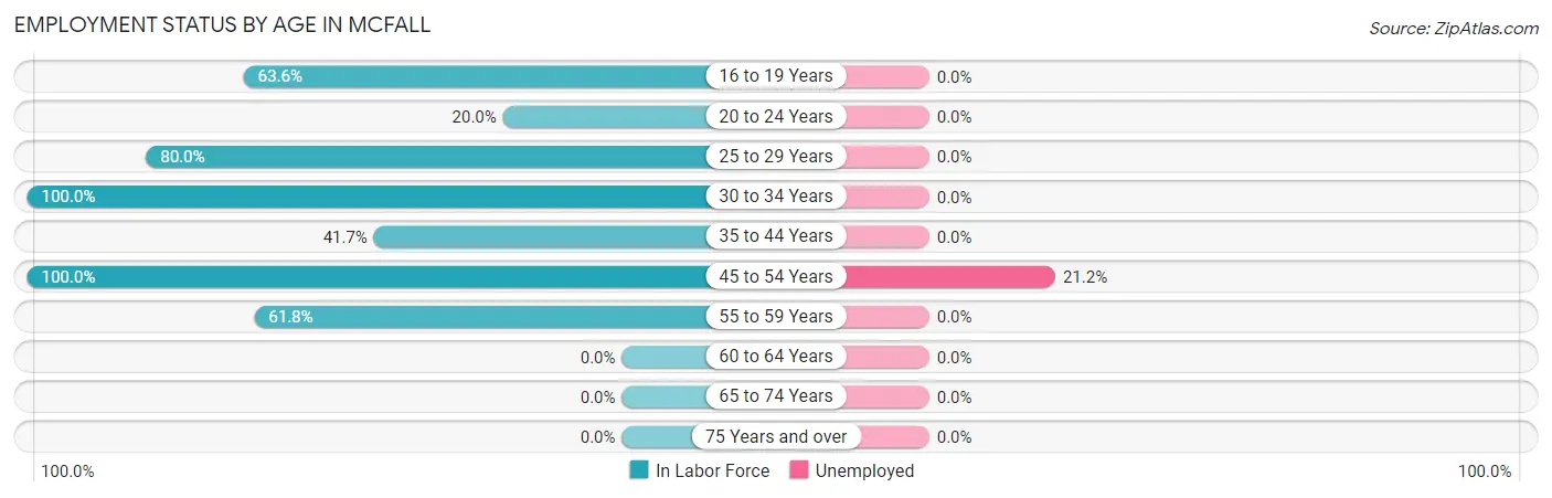 Employment Status by Age in McFall