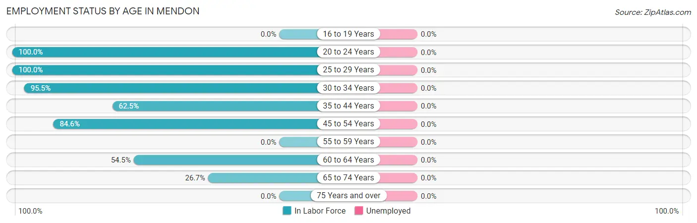 Employment Status by Age in Mendon