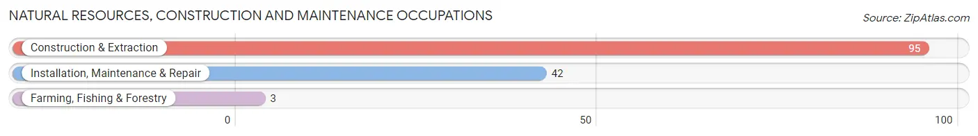 Natural Resources, Construction and Maintenance Occupations in Merriam Woods