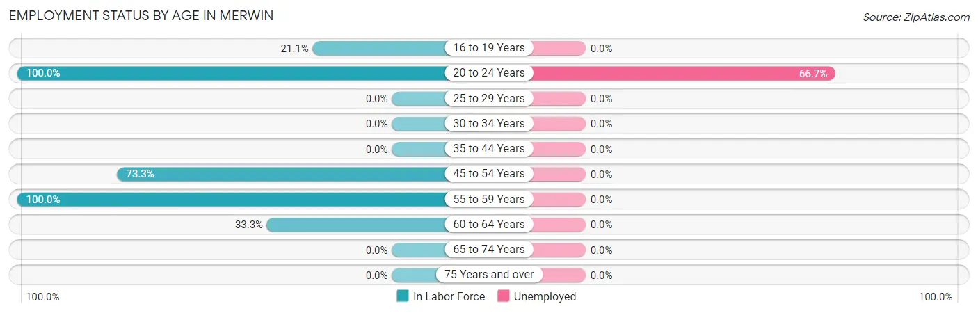 Employment Status by Age in Merwin