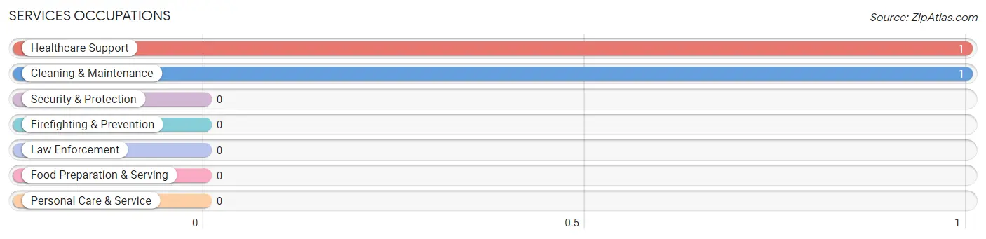 Services Occupations in Merwin