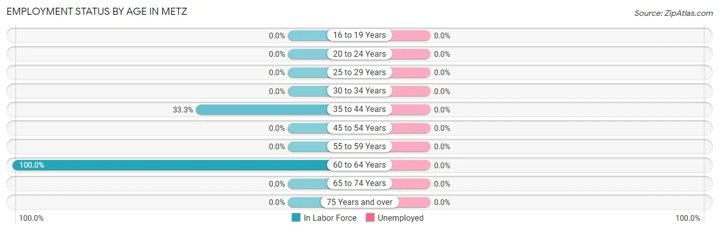 Employment Status by Age in Metz