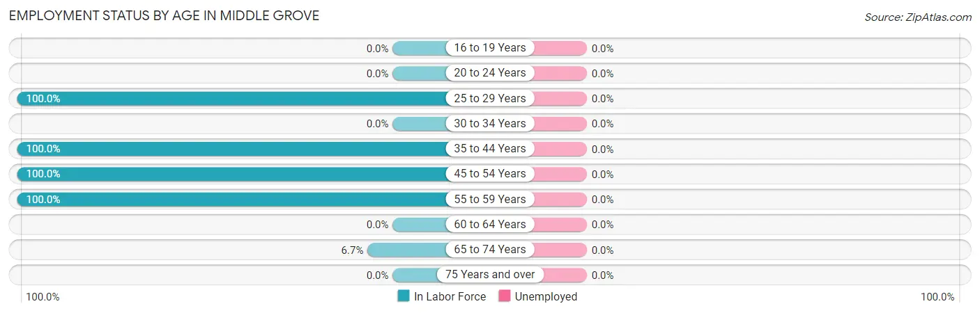 Employment Status by Age in Middle Grove