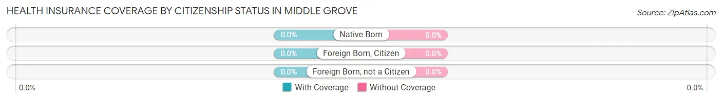 Health Insurance Coverage by Citizenship Status in Middle Grove