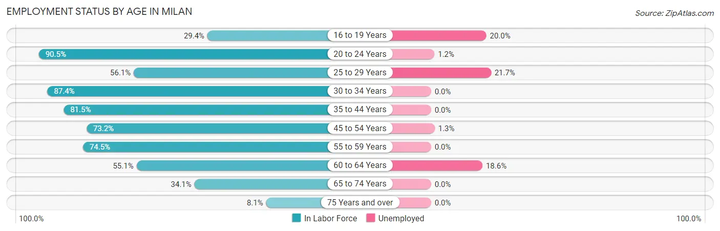 Employment Status by Age in Milan