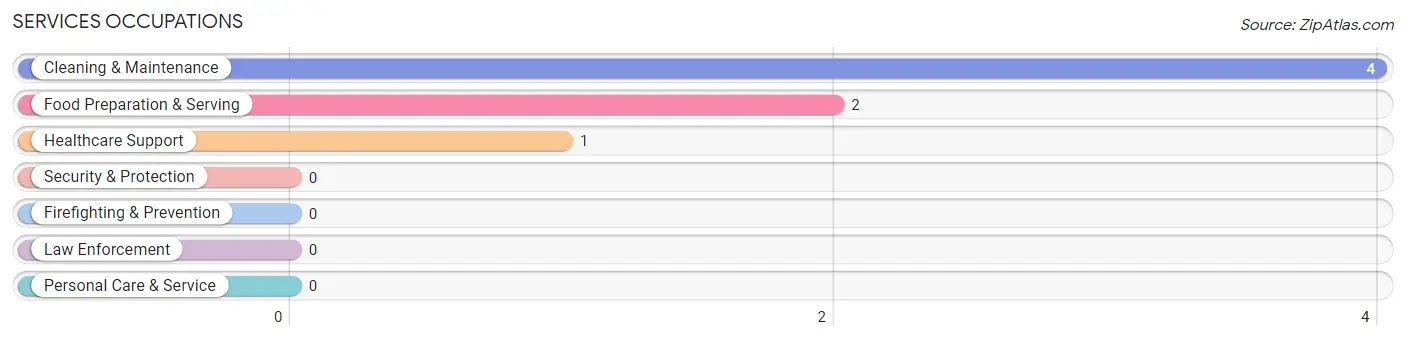 Services Occupations in Mill Spring