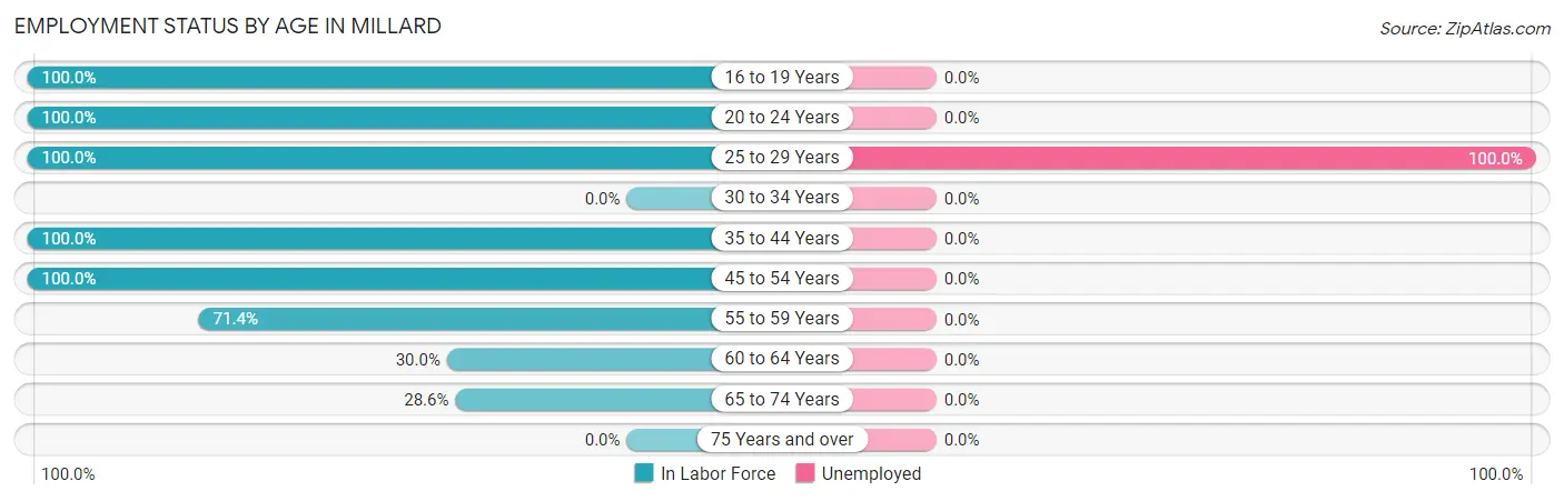 Employment Status by Age in Millard