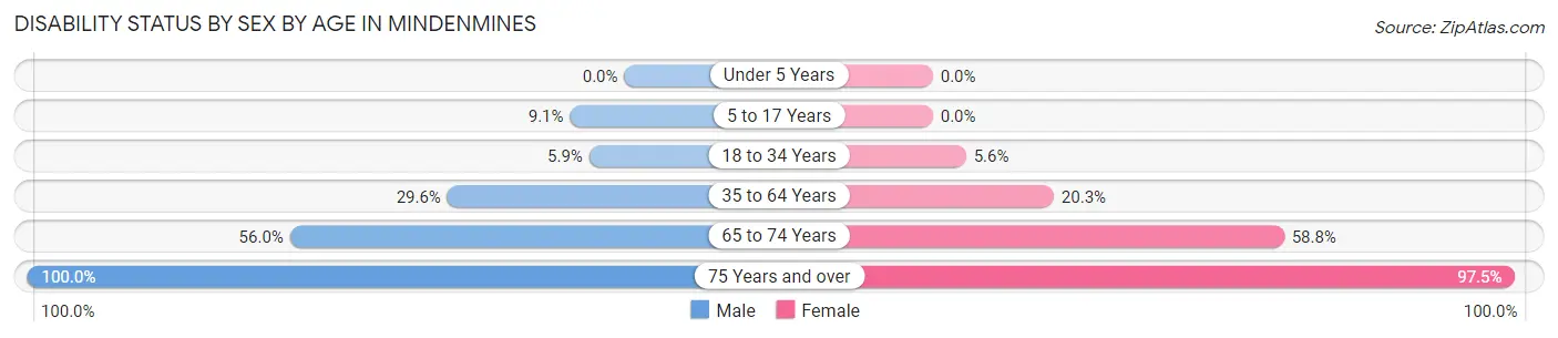 Disability Status by Sex by Age in Mindenmines
