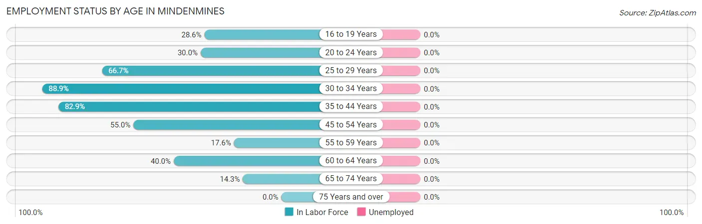 Employment Status by Age in Mindenmines