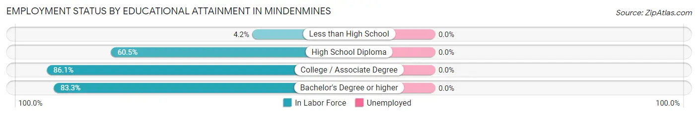Employment Status by Educational Attainment in Mindenmines
