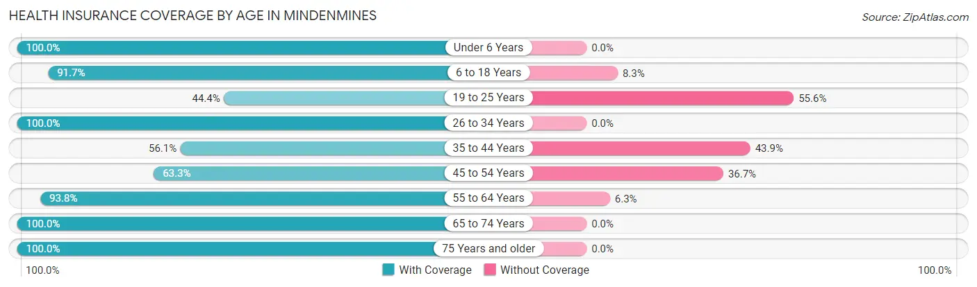 Health Insurance Coverage by Age in Mindenmines
