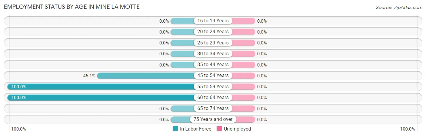 Employment Status by Age in Mine La Motte