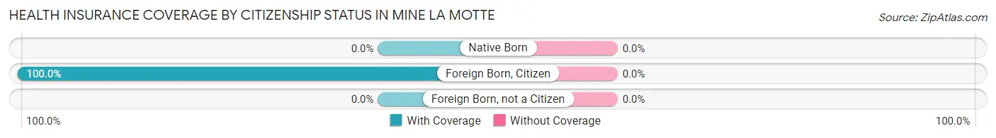 Health Insurance Coverage by Citizenship Status in Mine La Motte