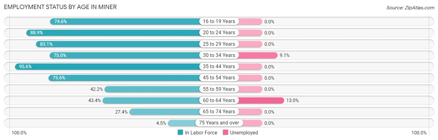 Employment Status by Age in Miner