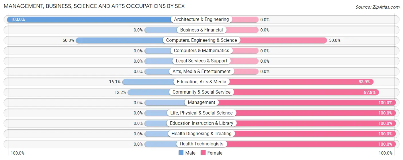 Management, Business, Science and Arts Occupations by Sex in Miner