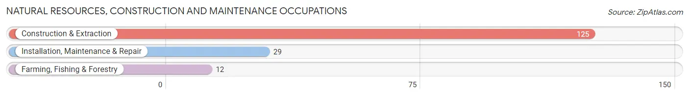 Natural Resources, Construction and Maintenance Occupations in Montgomery City