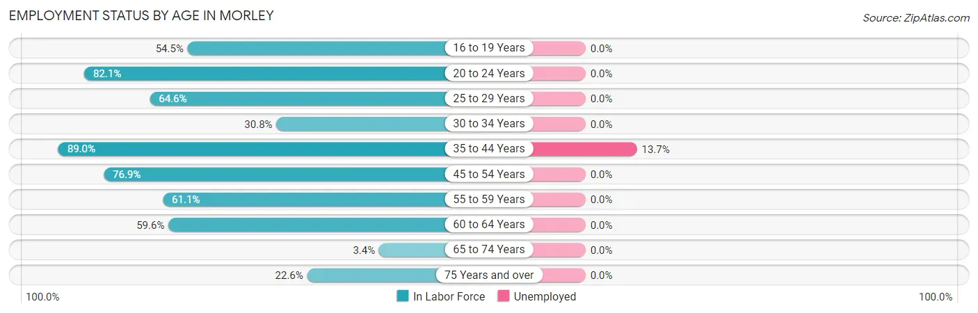 Employment Status by Age in Morley