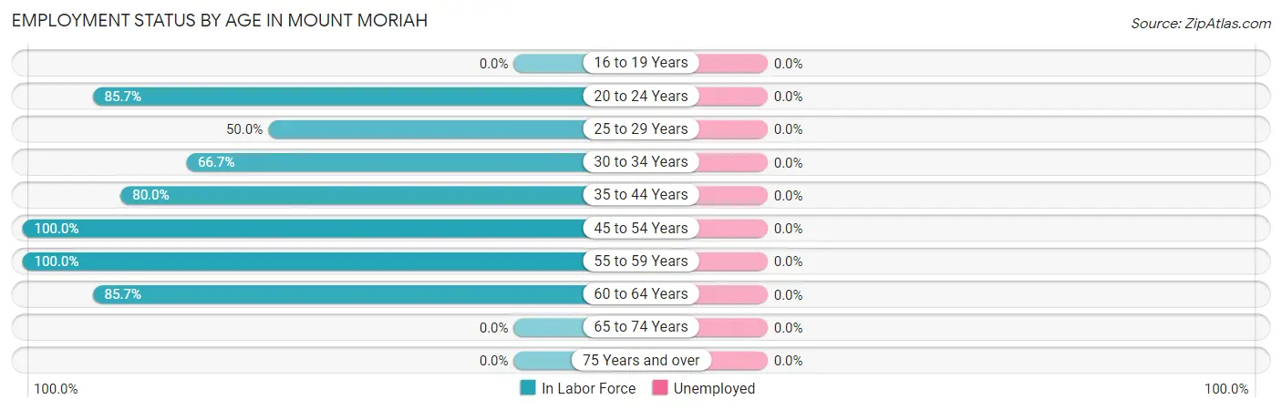 Employment Status by Age in Mount Moriah