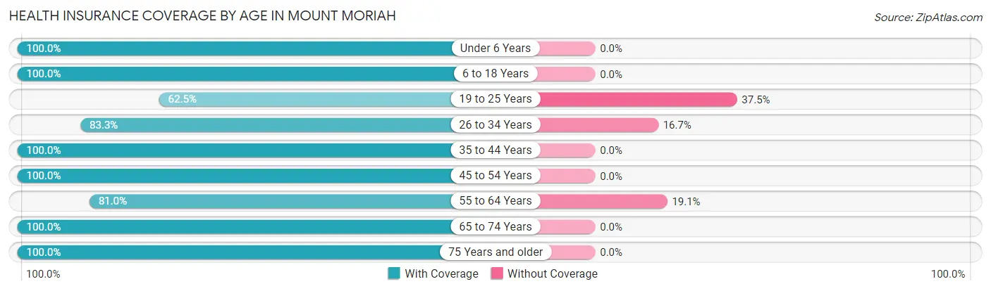 Health Insurance Coverage by Age in Mount Moriah